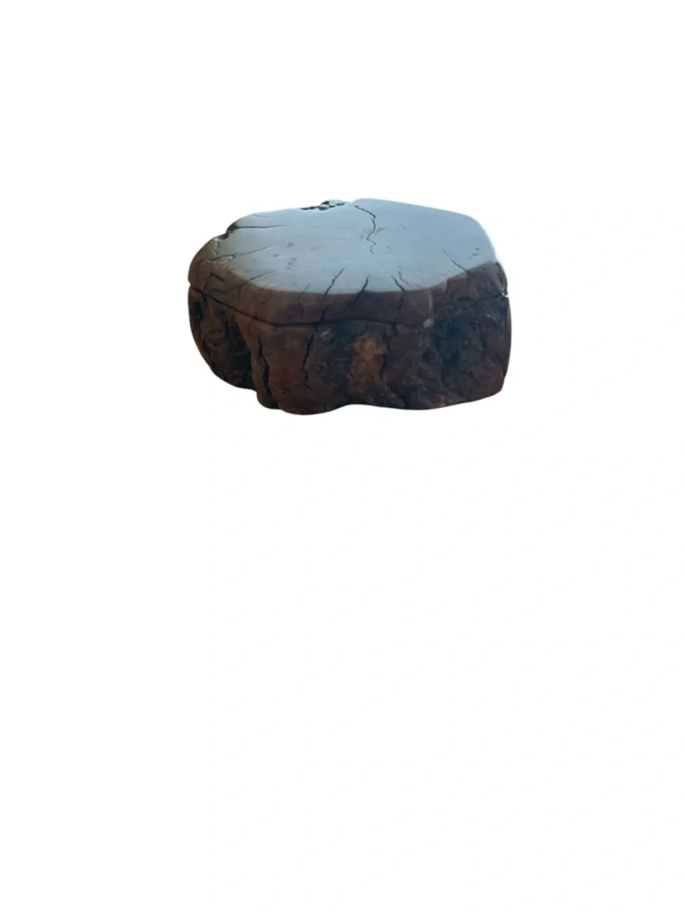 Handmade natural burl wood keepsake box